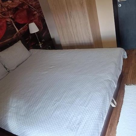 Apartment Vila Sandra Zlatibor Eksteriør billede