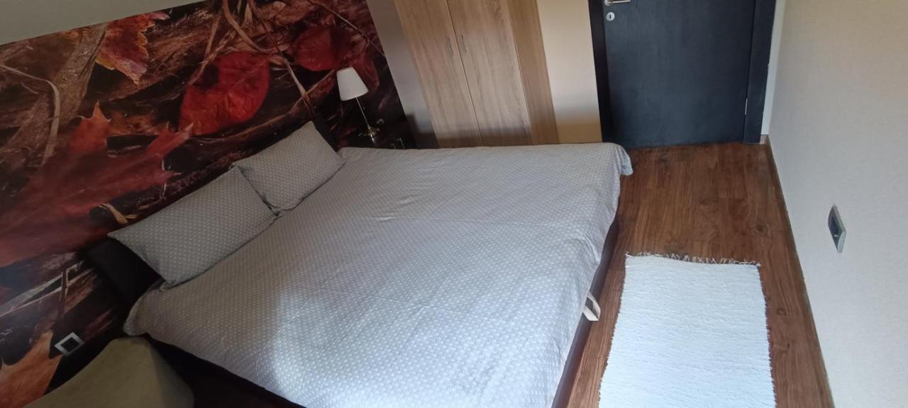 Apartment Vila Sandra Zlatibor Eksteriør billede